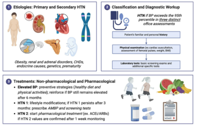 Hypertension in Primary Care: Diagnosis, Management, and Prevention.